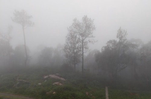 Yercaud Cabin | Coffee valley resort Yercaud CVR