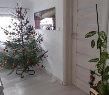 Vladeni Apartment | Colț de lavandă