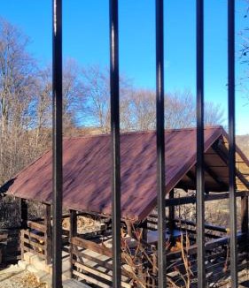 Poiana Marului Villa | Conacul din Pădure