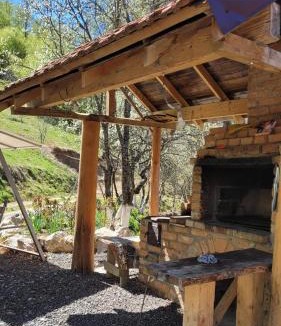 Poiana Marului Villa | Conacul din Pădure