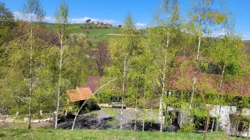 Poiana Marului Villa | Conacul din Pădure