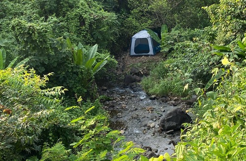 Murbad House | Connected with Nature