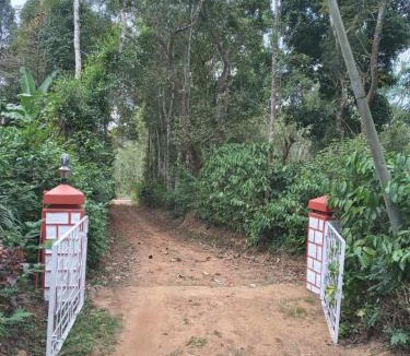 Virarajendrapet House | Coorg klusters estate stay