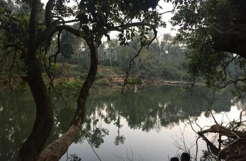 Ontiyangadi House | Coorg -Kunji Phad River View Homestay