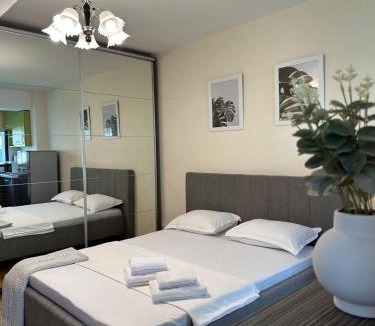 Copou Apartment | Copou Writers Nest Accommodation Hospitals Area