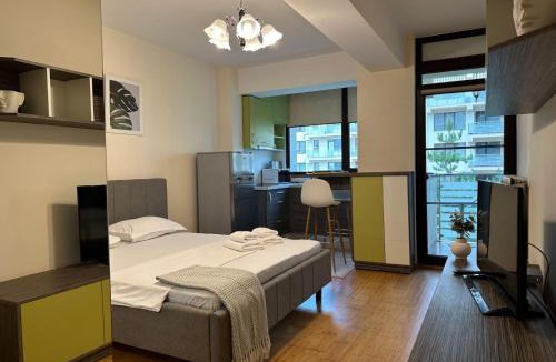Copou Apartment | Copou Writers Nest Accommodation Hospitals Area