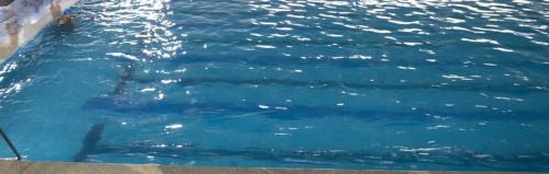 Bengaluru Resort | Cosmion Family Resort