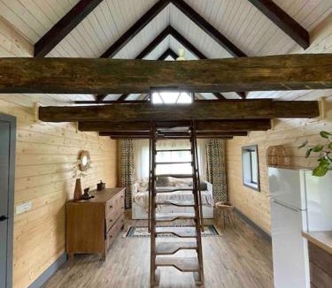 Vadu Crisului Ski Chalet | Country House