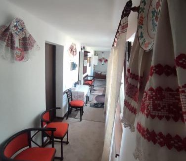 Oradea House | Courtyard Studio