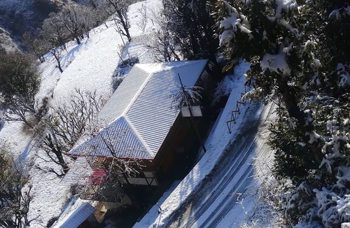 Chakrata House | cozy forest and mountain retreat in chakrata green