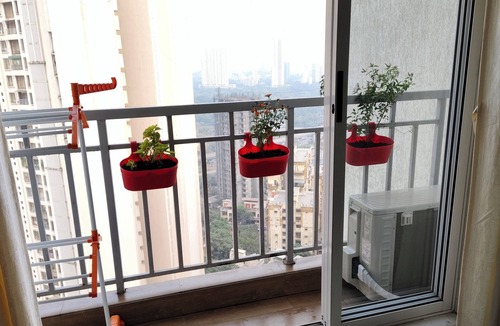 Thane West Apartment | Cozy Fully Furnished 1-bedroom apartment with Kitchen, WiFi in lovely Thane