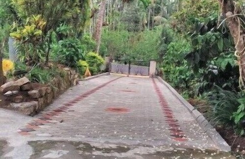 Sangameswarpet House | Cozy Stay Amidst Serene Coffee Plantations - 1BHK