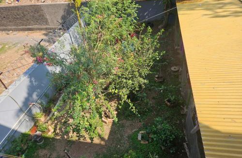 Jeypore House | Crave