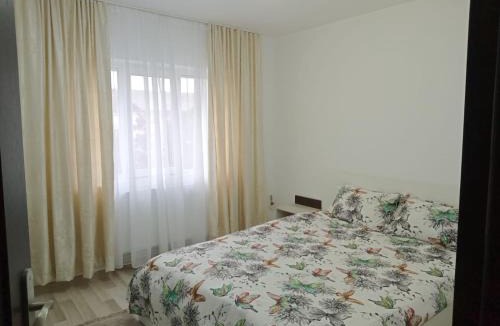 Suceava Apartment | Criss Apartament