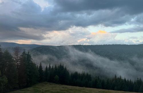 Maguri-Racatau Ski Chalet | Crow`s Nest Murmur Măguri