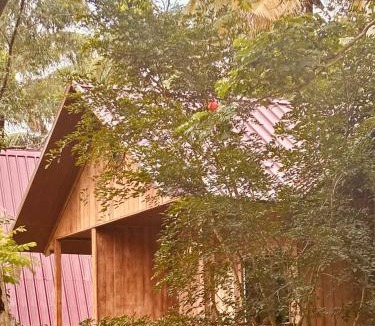 Maraiyur Bed & Breakfast | Cure Monastery Family Resort