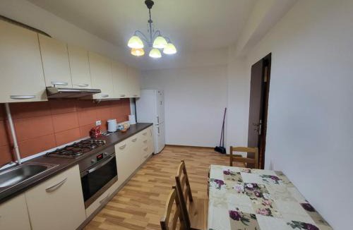 Craiova Apartment | d and d