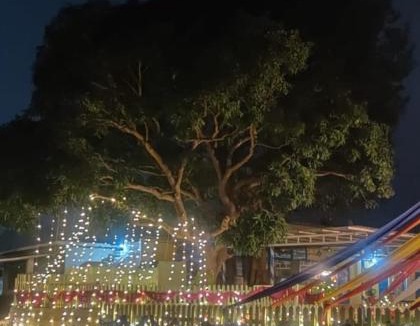 Bullawala Bed & Breakfast | D28Venues