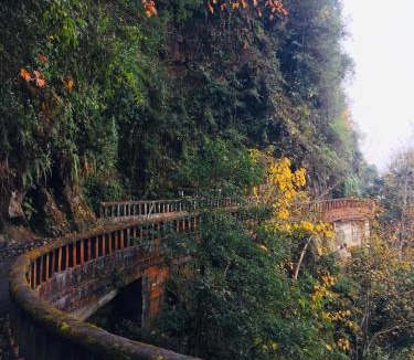 Darjeeling House | Dafey Homestay