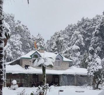 Nainital Apartment | Dalhousie Heritage Cottage