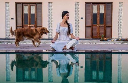 Bedla Hotel | DanCenter Parijat Villas & Suites Udaipur