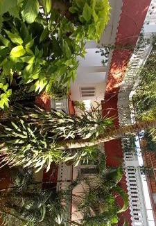 Mahabalipuram Beach House | Daphne Hotel