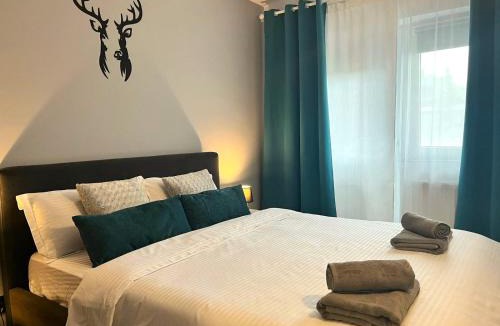 Poiana Tapului Apartment | Deer House - Fireplace 1BR near Sinaia Plaza
