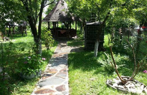 Ocna Sugatag House | Delia