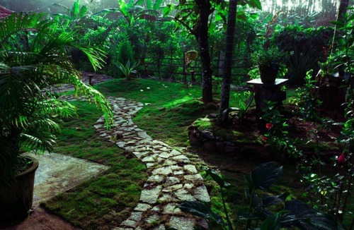 Sakleshpur Cottage | Dew Drops@ Kalgane