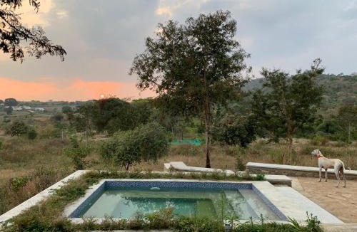 Bandipur House | Dhole's Den Bandipur