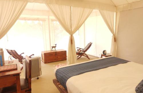 Shekhala Resort | Dhora Desert Resort And Spa