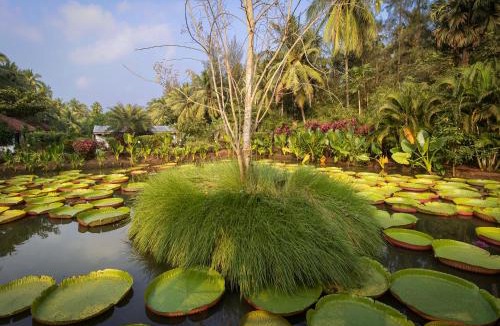 Ramarajulanka Hotel | Dindi RVR on the Godavari, A Club Mahindra Associate Resort