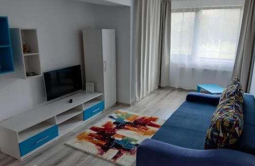 Sinaia Apartment | DORIN COLINA MAREI