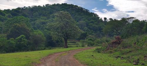 Mannarkkad Apartment | Dreamescape hillview homestay
