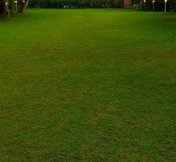 Sanand Villa | Dreamland by Nature's Abode® Villas