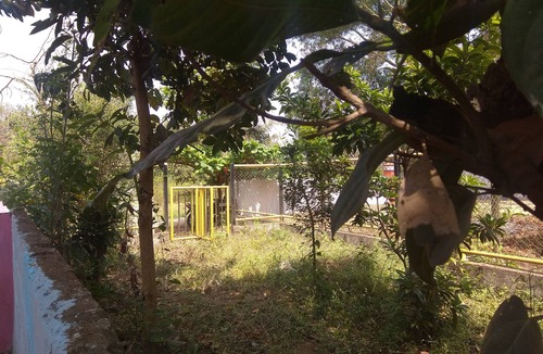 Kushalnagar House | Dreams Rivar view home stay Coorg