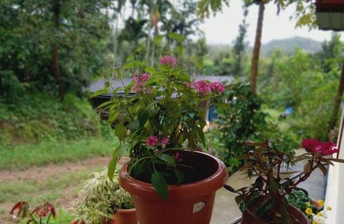 Sakleshpur House | Dreamwood FarmStay