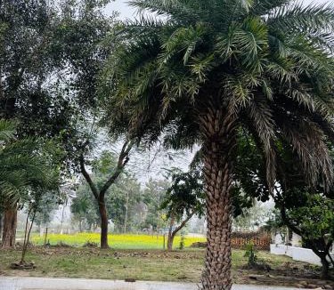 Lakhimpur House | Dudhwa Forest View Stay
