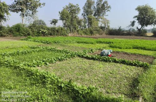 Jhansi House | Dunara Agro Farmer Producer Farmstay Jhansi