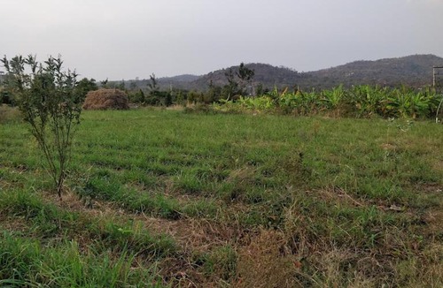 Chikkaballapur House | Earthly Life