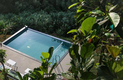 Anachal Resort | Edens Munnar