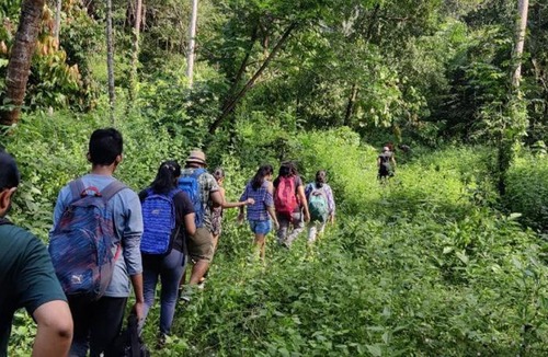 Todupulai House | Ela forest Stay Tree House