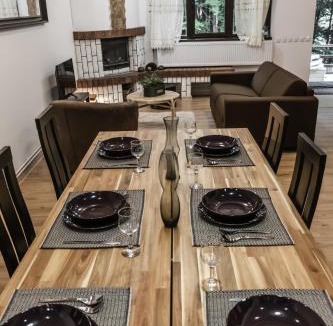 Sinaia Ski Chalet | Elatos Luxury Villas Erato