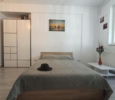 Chiajna Apartment | Elegant Studio Militari Air conditioning Parking Self check in Netflix