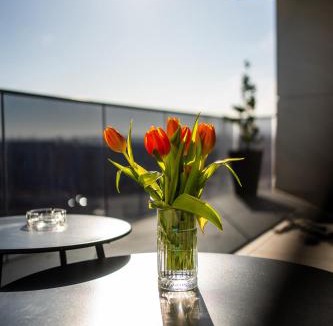 Cluj-Napoca Apartment | Elite Luxury Crib