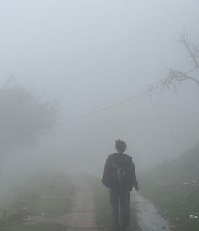Kodaikanal Hostel | Elysian Villa by Hostel Jerusalem