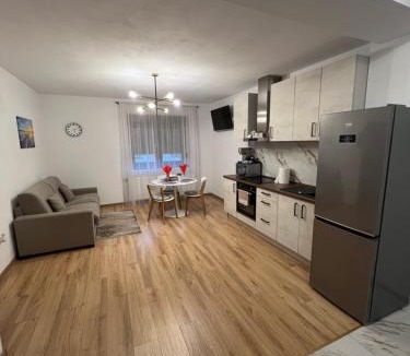 Pecica Apartment | Emanuela Apartments