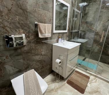 Pecica Apartment | Emanuela Apartments