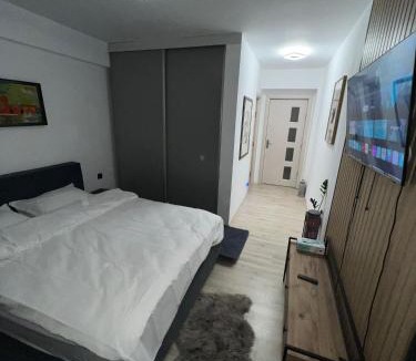 Craiova Apartment | Ematrip