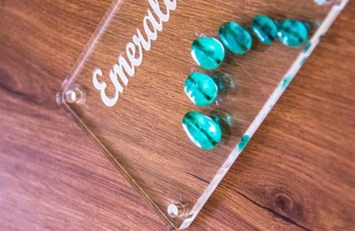 Ballygunge Apartment | Emerald By Olys Apartment